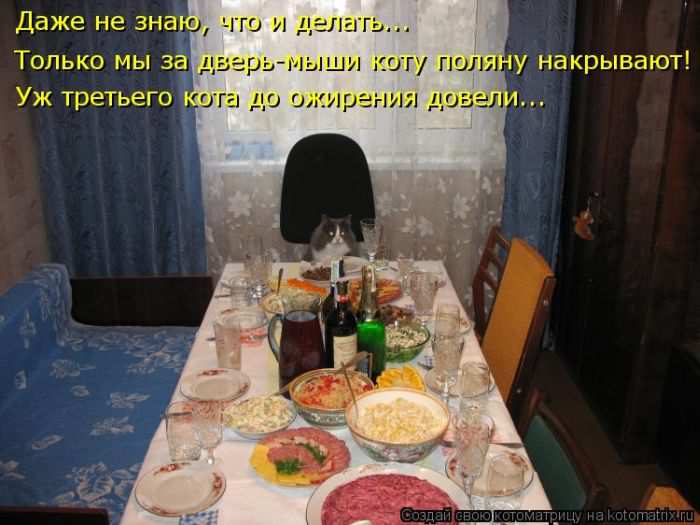 Кошарики :) Кошарики :)