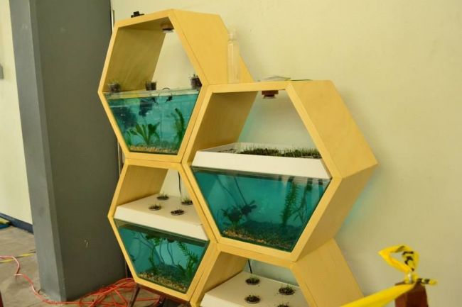 Как сделать модульный аквариум