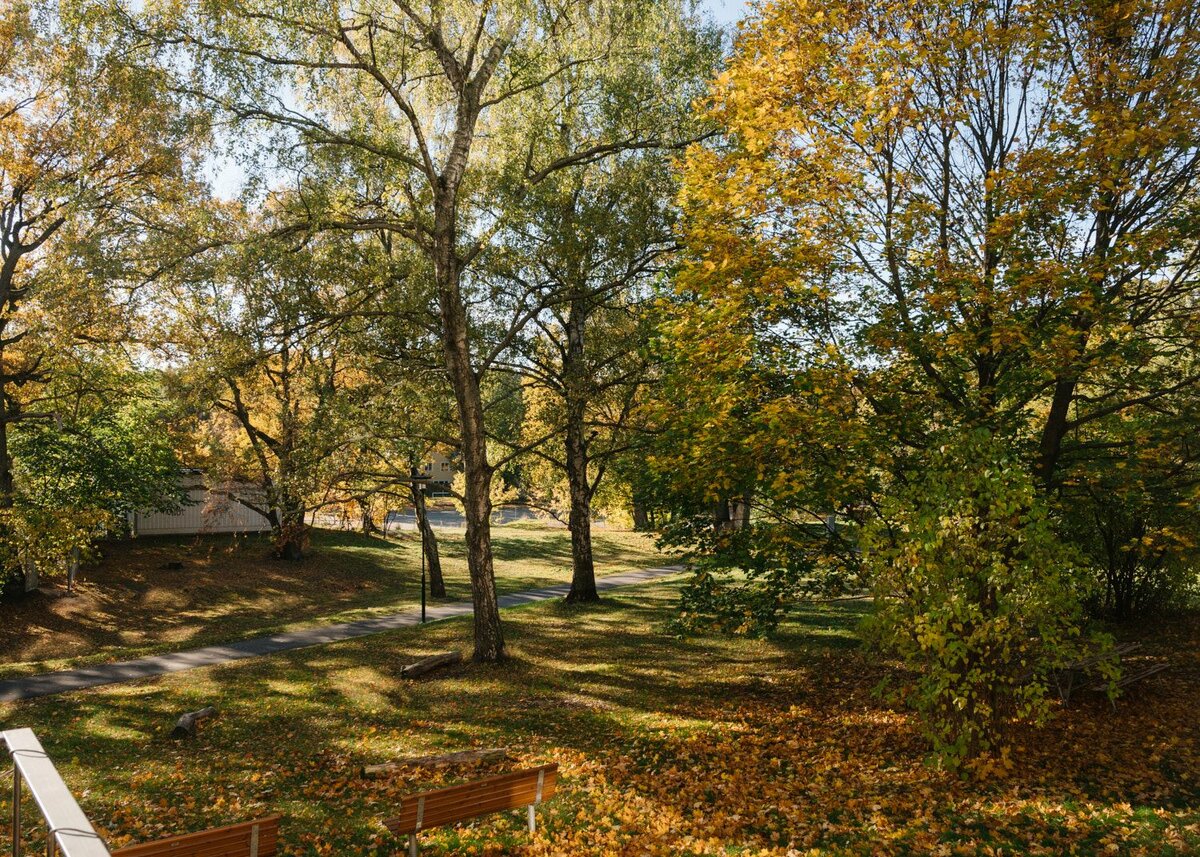 Вид, который открывается из квартиры и с балкона. Очень умиротворяюще и спокойно