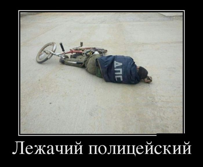 Демотиваторы (30 фото)