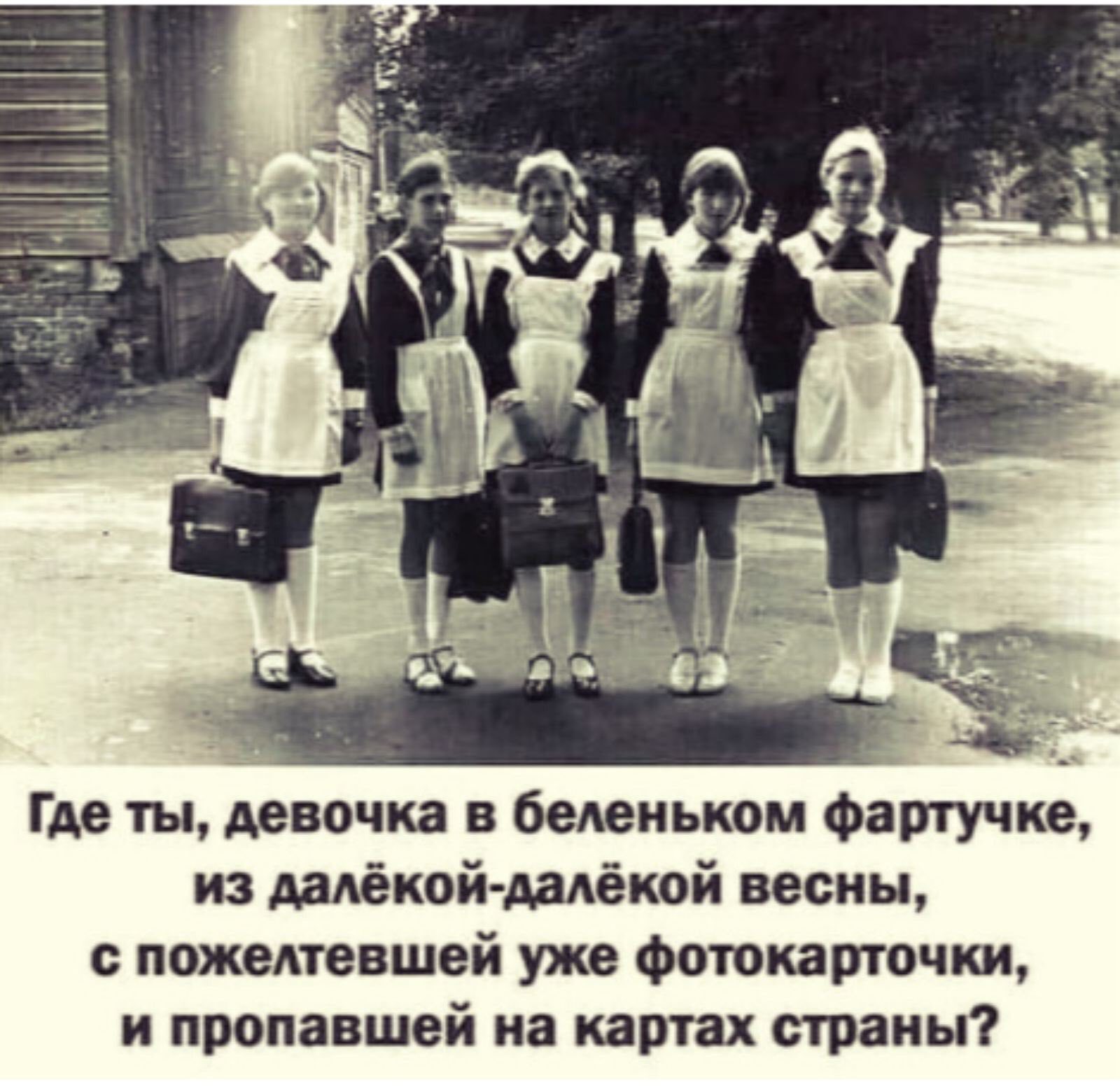 Время за полночь.  Дискотека в разгаре... сразу, выгодно—, ребенка, только, женщина, спрашивает, Вовочка, врежешь, доверчивостиПри, предоплате, гарантирую, результатОтец, крепко, Сначала, наказав, отвечает, Вовочку, понял, попало, Видишь