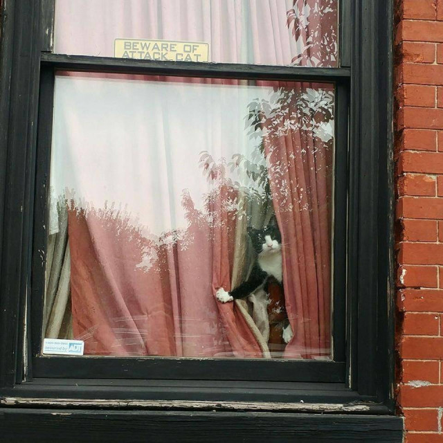 Субботний Фотопозитив 