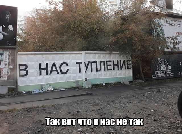 Прикольные картинки все пипец