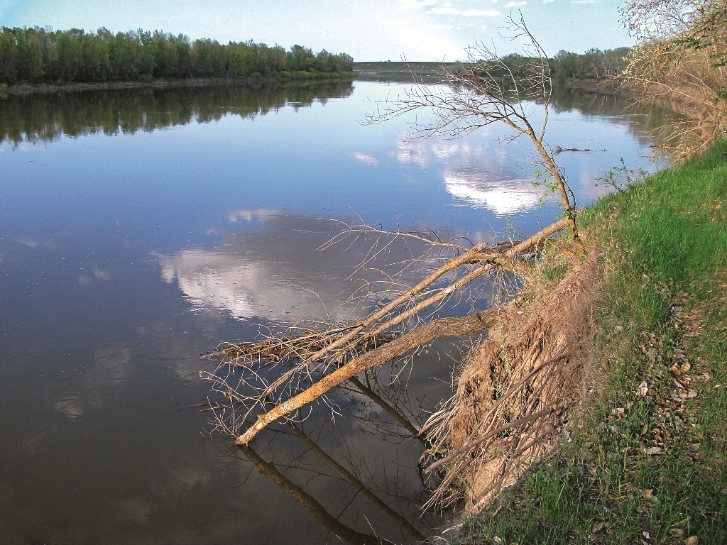 Река нужна