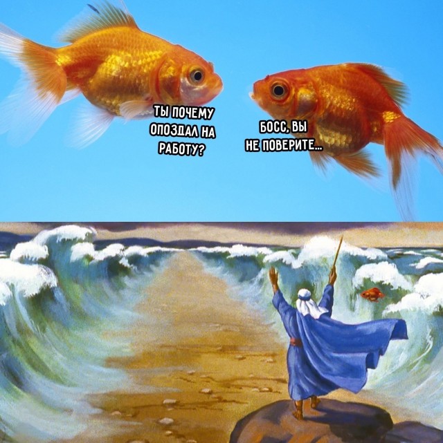 Искромётная подборка позитива и анекдотов в картинках 