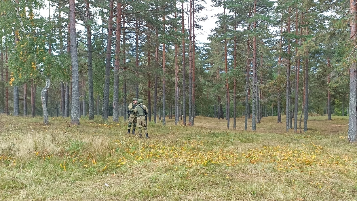 Сирийский опыт. На учениях «Запад-2021» псковские десантники отработали на «отлично» Экономика