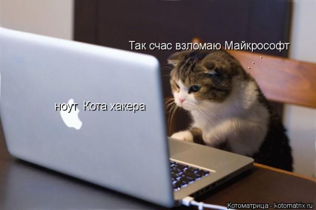 Самые смешные котоматрицы за прошедшую неделю