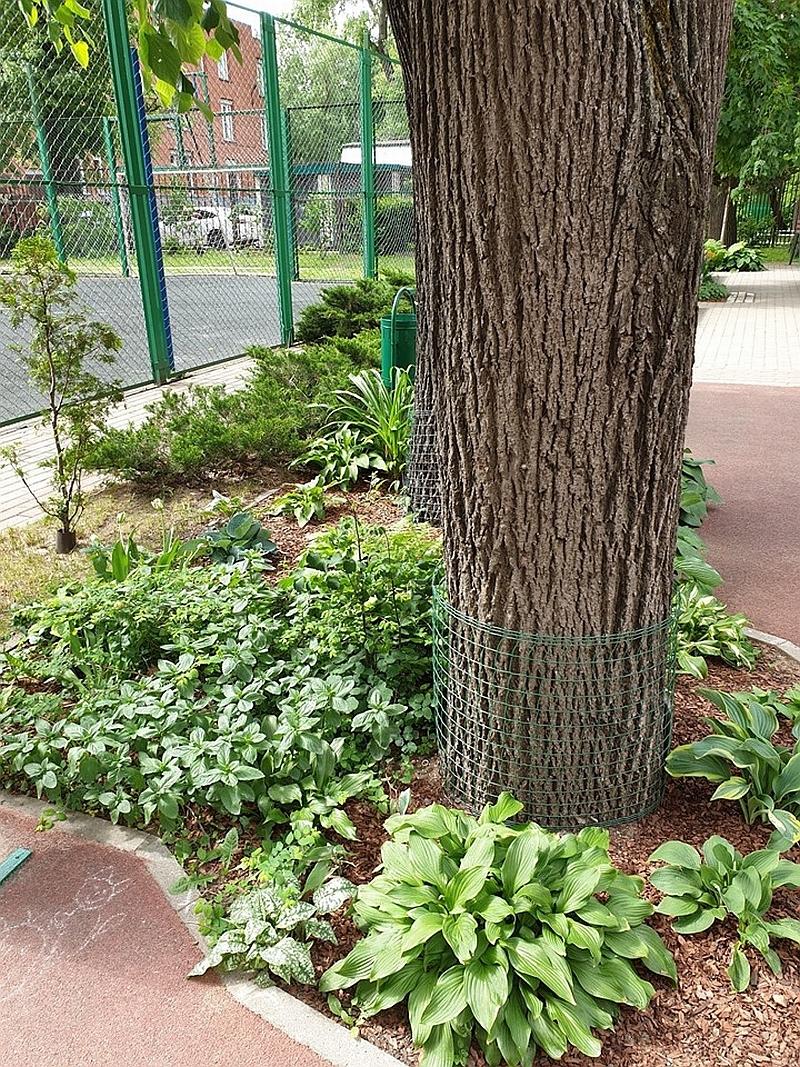 Цветник в городском дворе – советы практика двор,ландшафтный дизайн,цветник