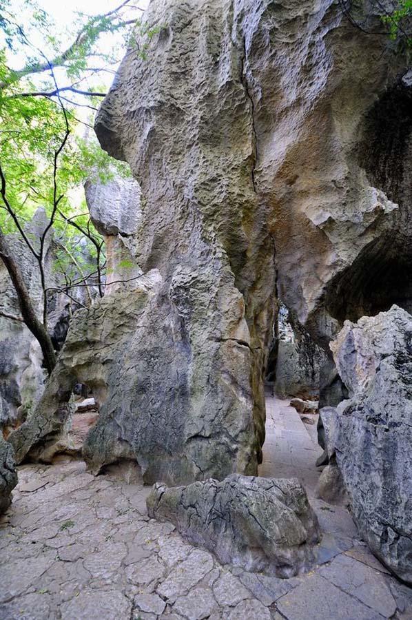 Чудеса света: каменный лес Шилинь в Китае каменный, камни, более, который, тысяч, инструментов, местного, животных, можно, множество, цветы, каменные, месте, пещера, деревья, озеро, провинции, Каменный, также, Шилинь