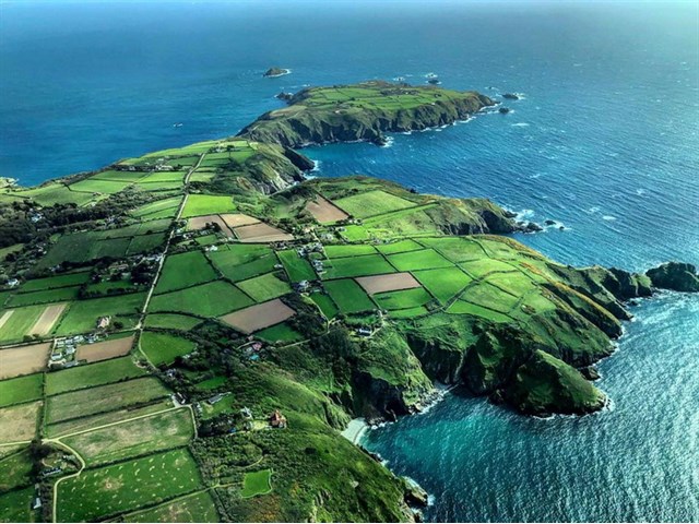 Самая странная попытка захвата власти в истории 20 века Самая странная попытка захвата власти в истории 20 века история