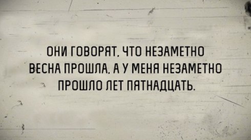 Подборка смешных картинок и фото с надписями 