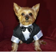 The big fab weddings !.jpg