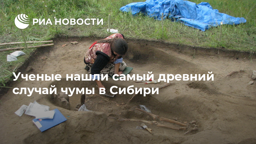 Ученые нашли самый древний случай чумы в Сибири Лента новостей