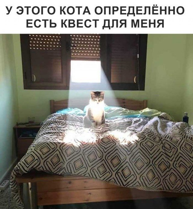 Юмор на разные темы 