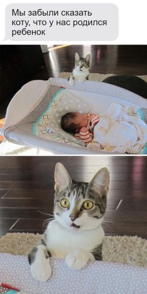 Самые лучшие клевые картинки Самые лучшие клевые картинки