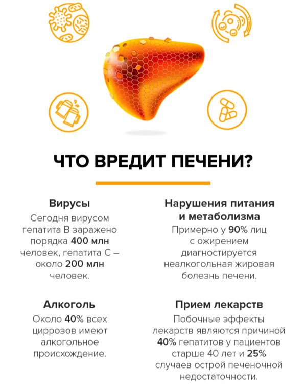 Что влияет на здоровье печени? Фото zdorovieinfo.ru