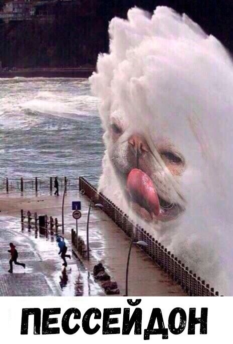 Шутки и и забавные картинки из социальных сетей Шутки и и забавные картинки из социальных сетей прикольные картинки