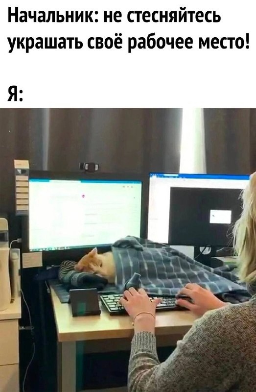 Подборка приколов для настроения Подборка приколов для настроения