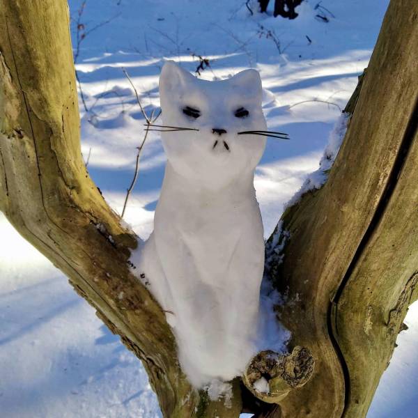 Подборка прикольных картинок Подборка прикольных картинок приколы,смешные картинки,юмор