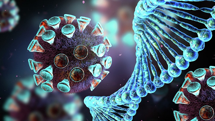 В штамме коронавируса «Омикрон» обнаружен фрагмент ДНК человека