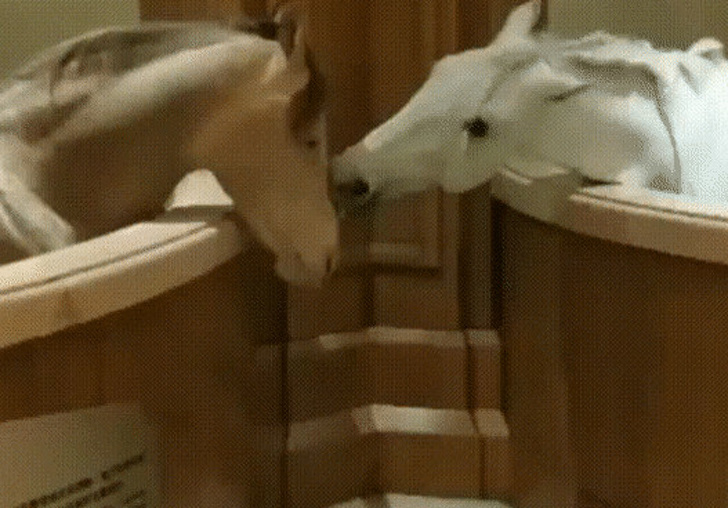 18 фото про одиночество, героев которых хочется срочно обнять (И весь мир заодно) 18 фото про одиночество, героев которых хочется срочно обнять (И весь мир заодно) интересное