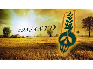 То что ты не хотел знать про Monsanto геополитика,россия