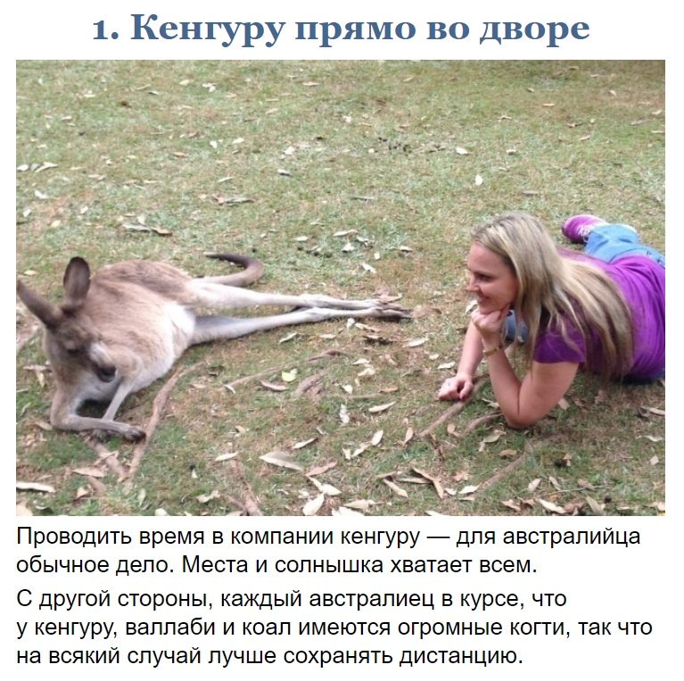 10 фото, доказывающих, что Австралия — это совершенно иной мир