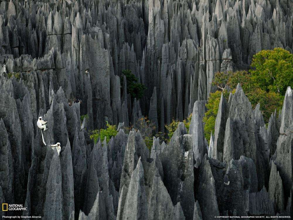 Цинги-де-Бемараха — каменный лес на Мадагаскаре