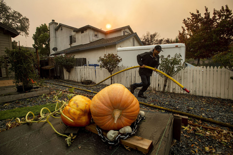 Мощные пожары, которые бушуют в Калифорнии