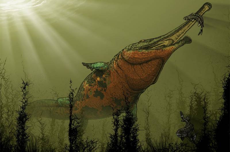 Платиопозавр (лат. Platyoposaurus)