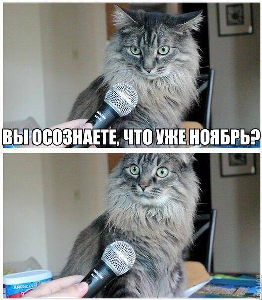 Все чаще начинаешь ловить Все чаще начинаешь ловить