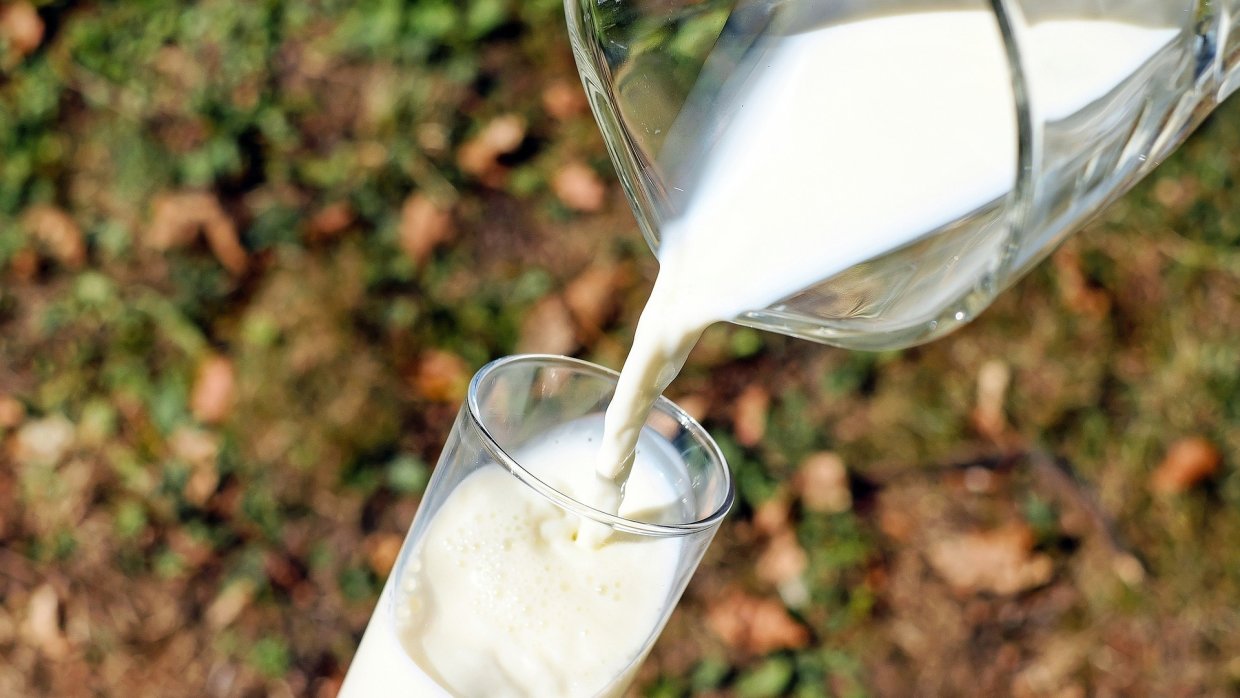 Четверть молочной продукции в России оказалась фальсификатом