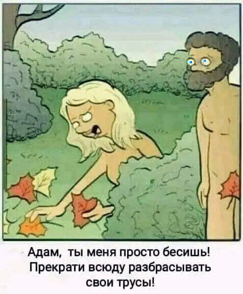 Шутки для настроения Шутки для настроения