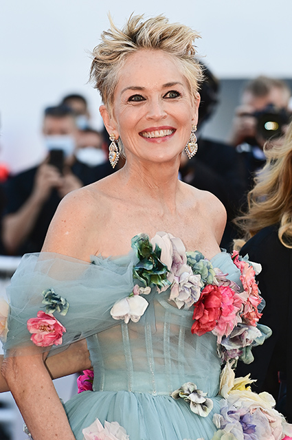 Канны-2021: Шэрон Стоун, Луи Гаррель, Поппи Делевинь и другие на премьере фильма "История моей жены" Красная дорожка