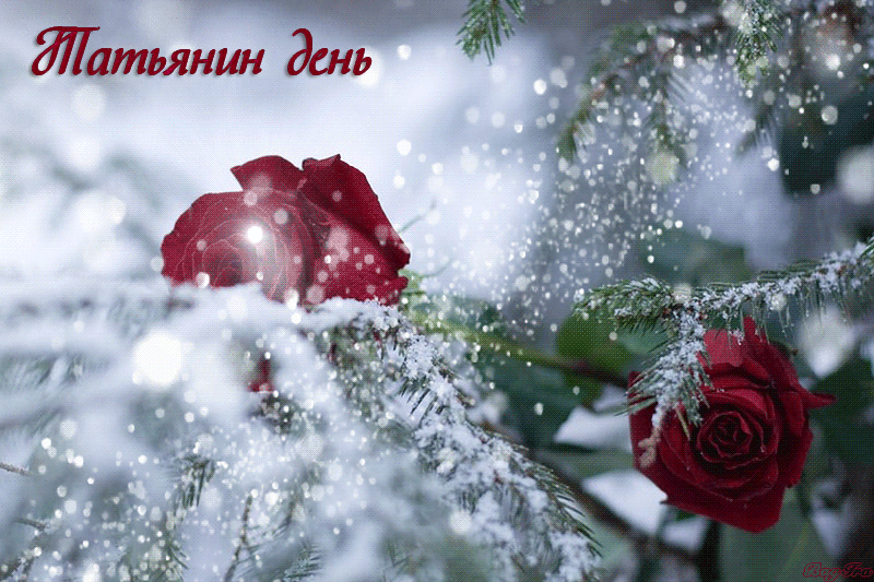 С днем татьяны поздравления анимационные открытки