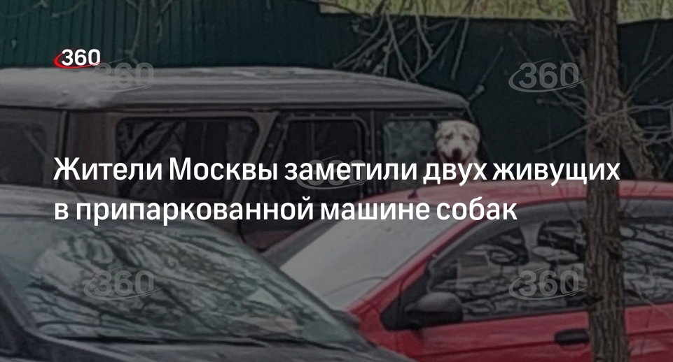 Житель Псковской области оставил собак жить в автомобиле в Москве