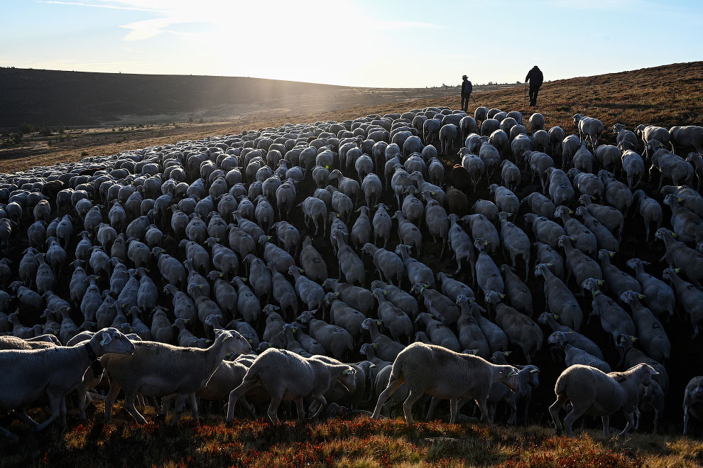 FRANCE-AGRICULTURE-LIFESTYLE