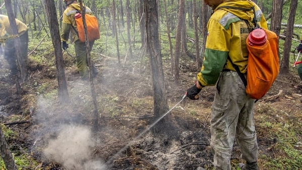 Постояльцев санатория в Марий Эл эвакуировали из-за лесного пожара