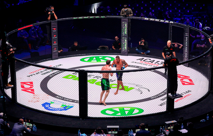 Бои без правил и без русских: Кто поддержит наших парней в ММА? россия