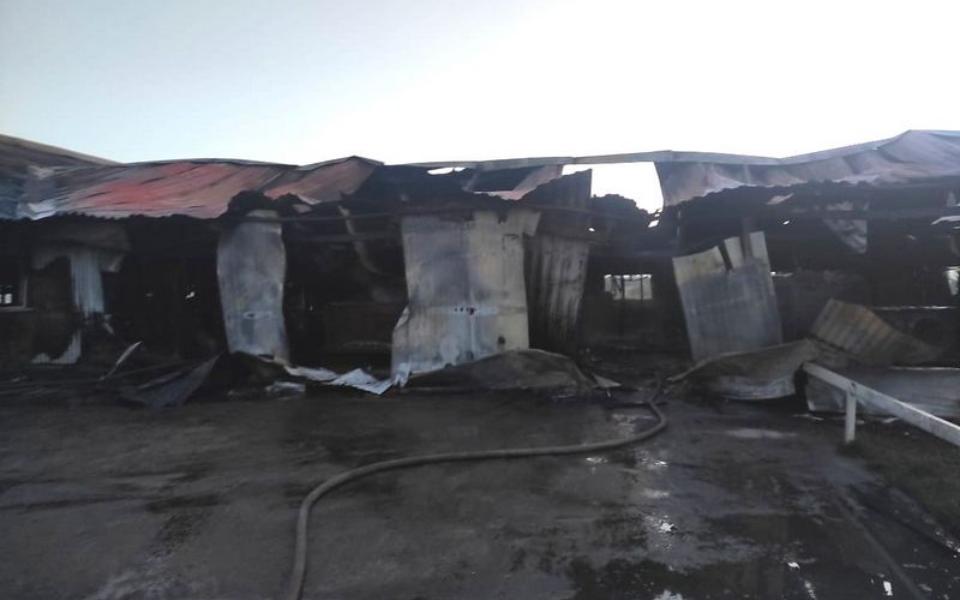 В Ряжском районе в пожаре погибли 16 коров