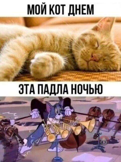Очень смешные и забавные картинки 