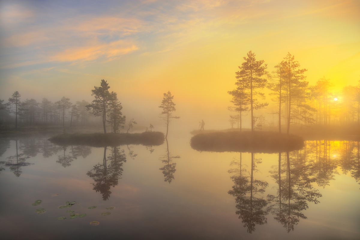 Удивительные снимки Эдуарда Гордеева фотографии, очень, удача, всего, Эдуард, пейзаж, фотограф, своей, привлекает, город, ваших, несколько, также, приходит, природы, много, техники, затем, упорство, нравится