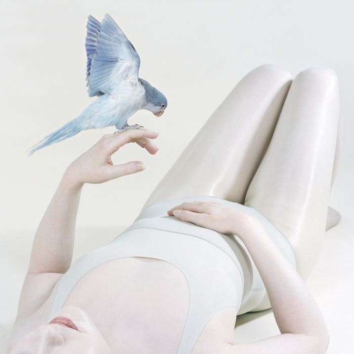 Синяя птица, 2018 год. Автор: Petrina Hicks. Синяя птица, 2018 год. Автор: Petrina Hicks.
