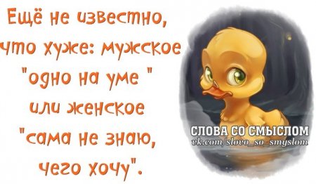 Прикольные картинки с фразочками Прикольные картинки с фразочками