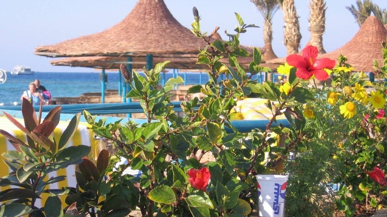 Россиянка Елена предупредила о переполненных пляжах на курорте Шарм-эш-Шейх в Египте