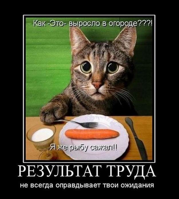 Новая коллекция демотивирующих картинок обо всём на свете! Новая коллекция демотивирующих картинок обо всём на свете!
