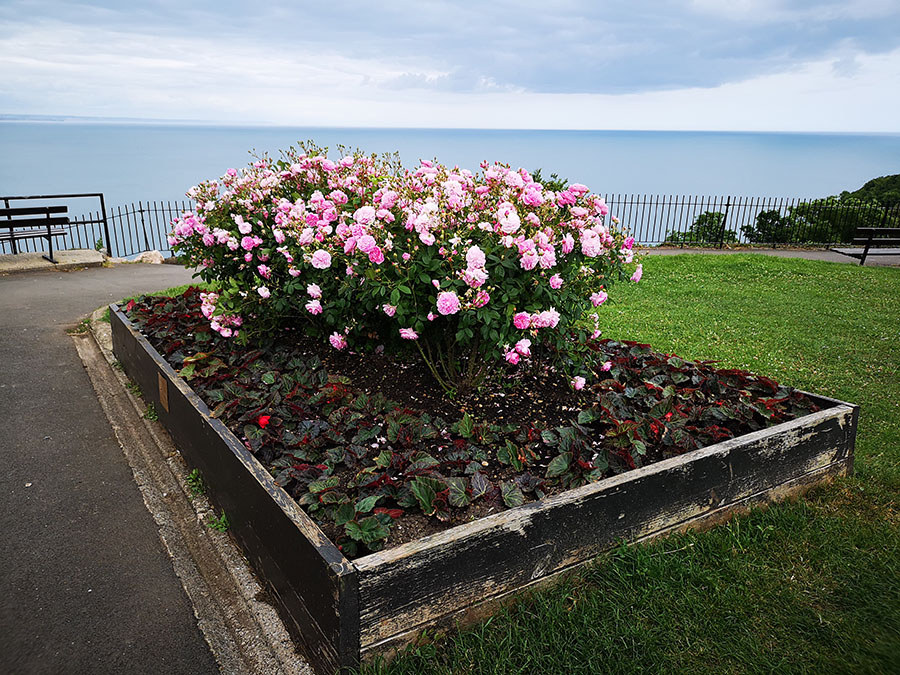 Ради чего стоит побывать в городке Баббакомб (Babbacombe)