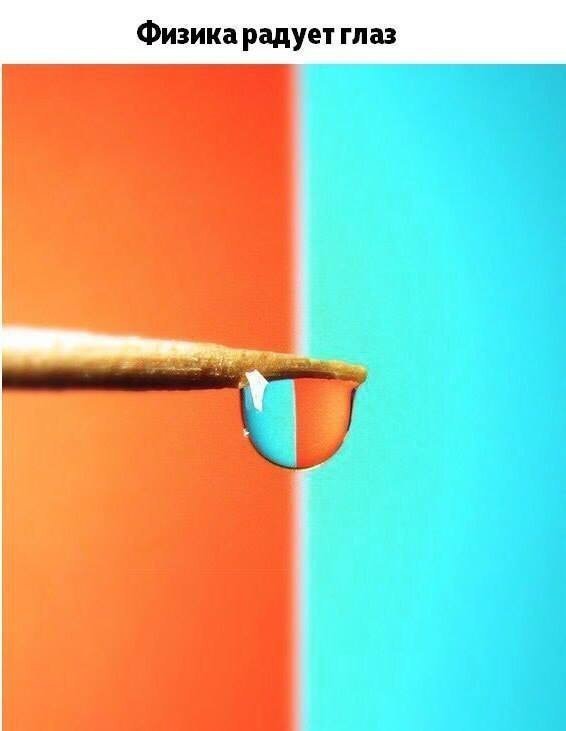 Учёные шутят Учёные шутят отдых