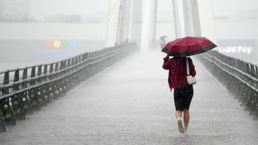 МЧС предупредило о ливне, грозе и ветре в Москве 17 июня