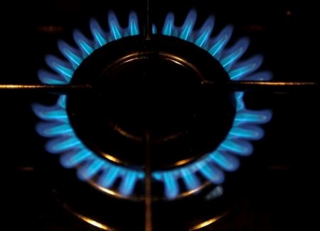 FILE PHOTO: A gas burner is pictured on a cooker in a private home in Bordeaux, soutwestern France, December 13, 2012. REUTERS/Regis Duvignau/File Photo